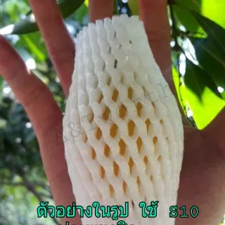 โฟมห่อผลไม้ S10 : S12 : S15 : S17 : L20 : L24 L30 สินค้า100ชิ้น/แพคครับ , ห่อกุหลาบ , ห่อสตอเบอรี่ แบบชั่งขีด