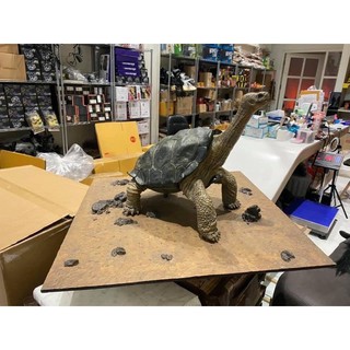 Lonesome George set โมเดลเต่า