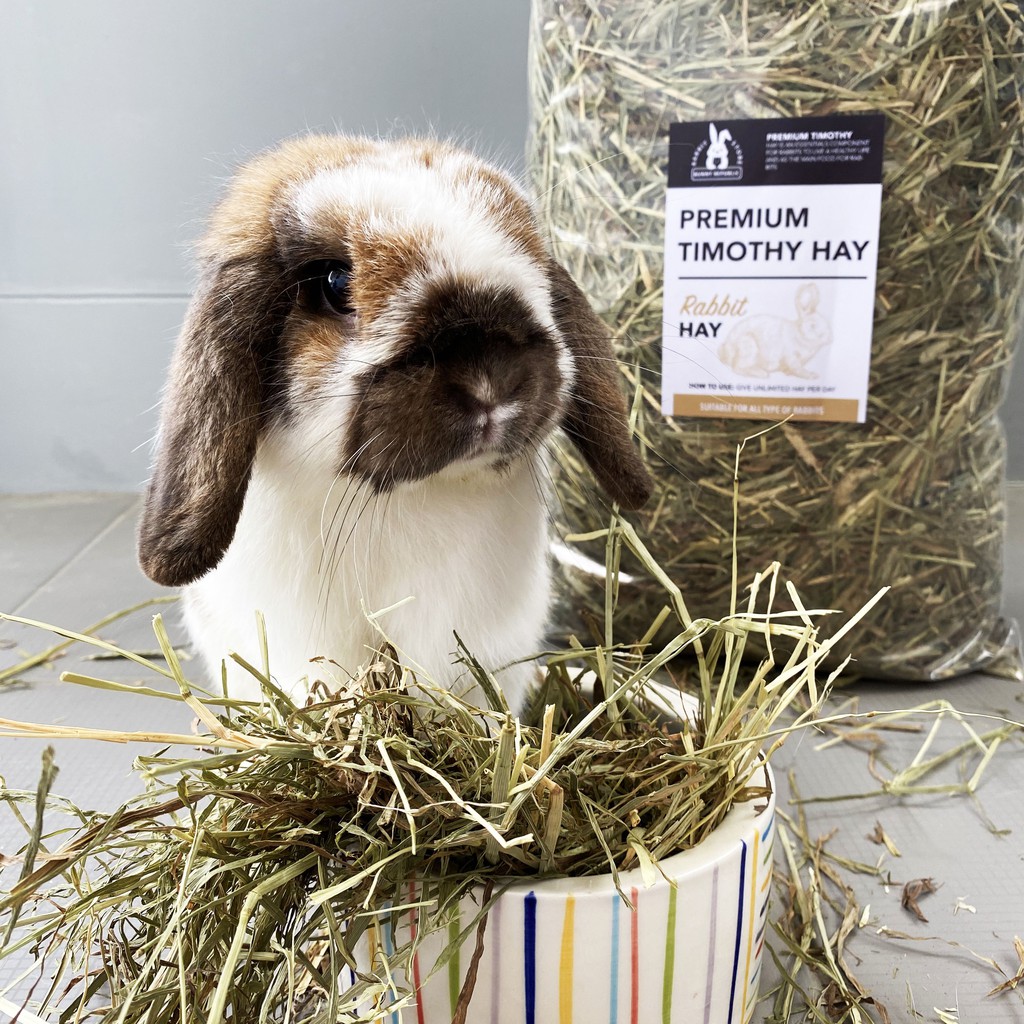 Bunny Republic Premium Timothy ขนาด 1 kg หญ้าทิโมธีพรีเมี่ยม สำหรับอาหารกระต่าย แก๊สบี้ ชินชิล่า