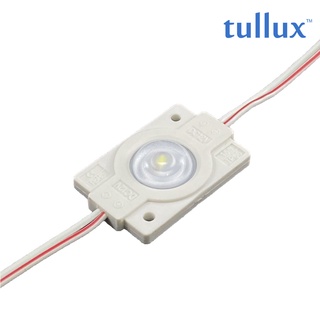 TULLUX - ไฟ LED โมดูล 12V 1.2W/1.5W หลอดไฟแอลอีดี SMD 2835/3030 สีขาวอมฟ้า 11000K IP67 160-170 องศา [ขายเป็น10ตัว]