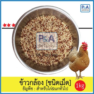 ข้าวกล้อง-ปลายข้าวกล้อง_สำหรับสัตว์เลี้ยง นก ไก่ (ขนาดแบ่งขาย1กก).