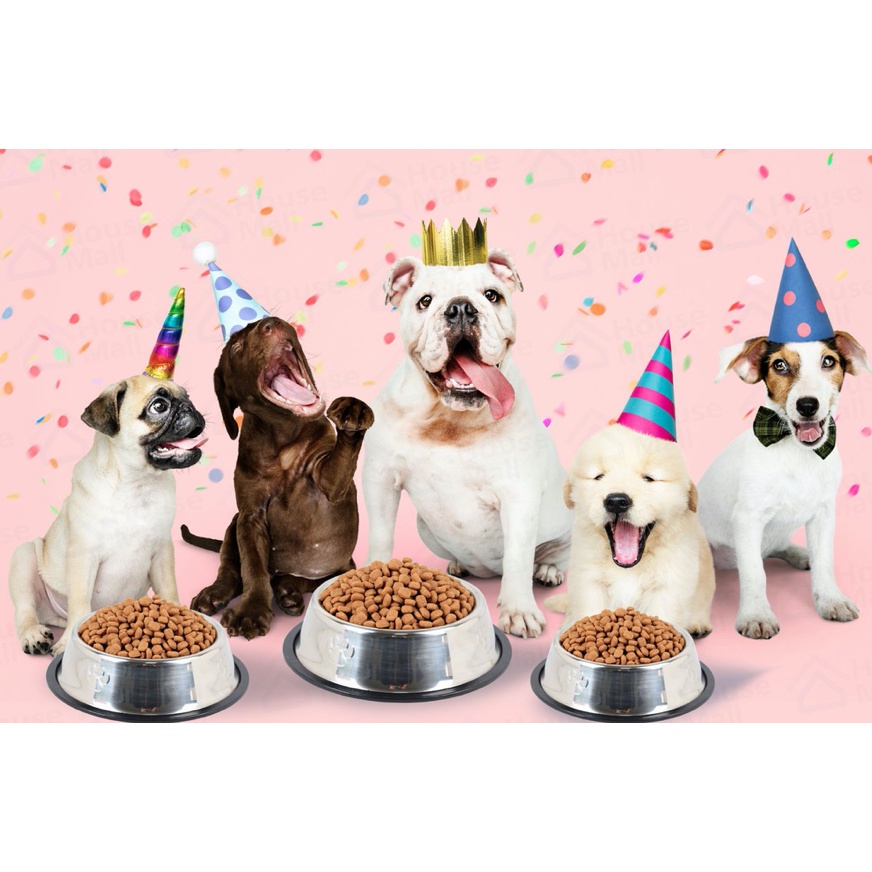 BN-015 ชามสแตนเลสสำหรับสัตว์เลี้ยง – แข็งแรง ทนทาน พร้อมส่งทันที เหมาะสำหรับสุนัข แมว