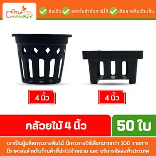 กระถางต้นไม้พลาสติก กระถางต้นไม้ กล้วยไม้ สี่เหลี่ยม จัตุรัส กลม 4 นิ้ว สีดำ 50 ใบ