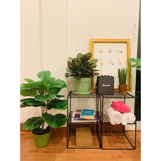 Double Deck Stool อุปกรณ์จัดเก็บ2ชั้นแสนเกร๋(229บ.)มีของค่าซิสสสสสส