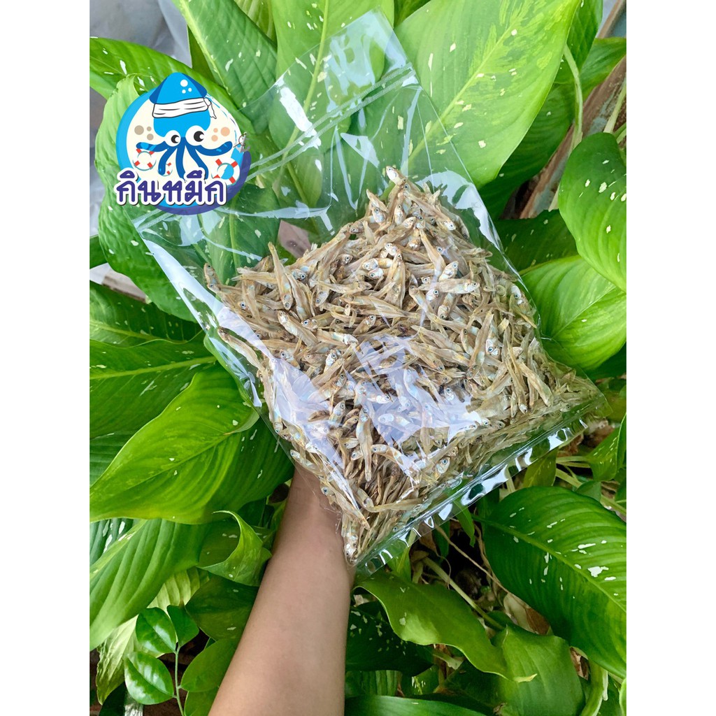 ปลามะลิ ปลาใบไม้ ปลาแห้ง ไม่เค็มมาก ทอดกรอบๆทานเล่นได้เลยทั้งตัว สด สะอาด ส่งจากโรงงาน