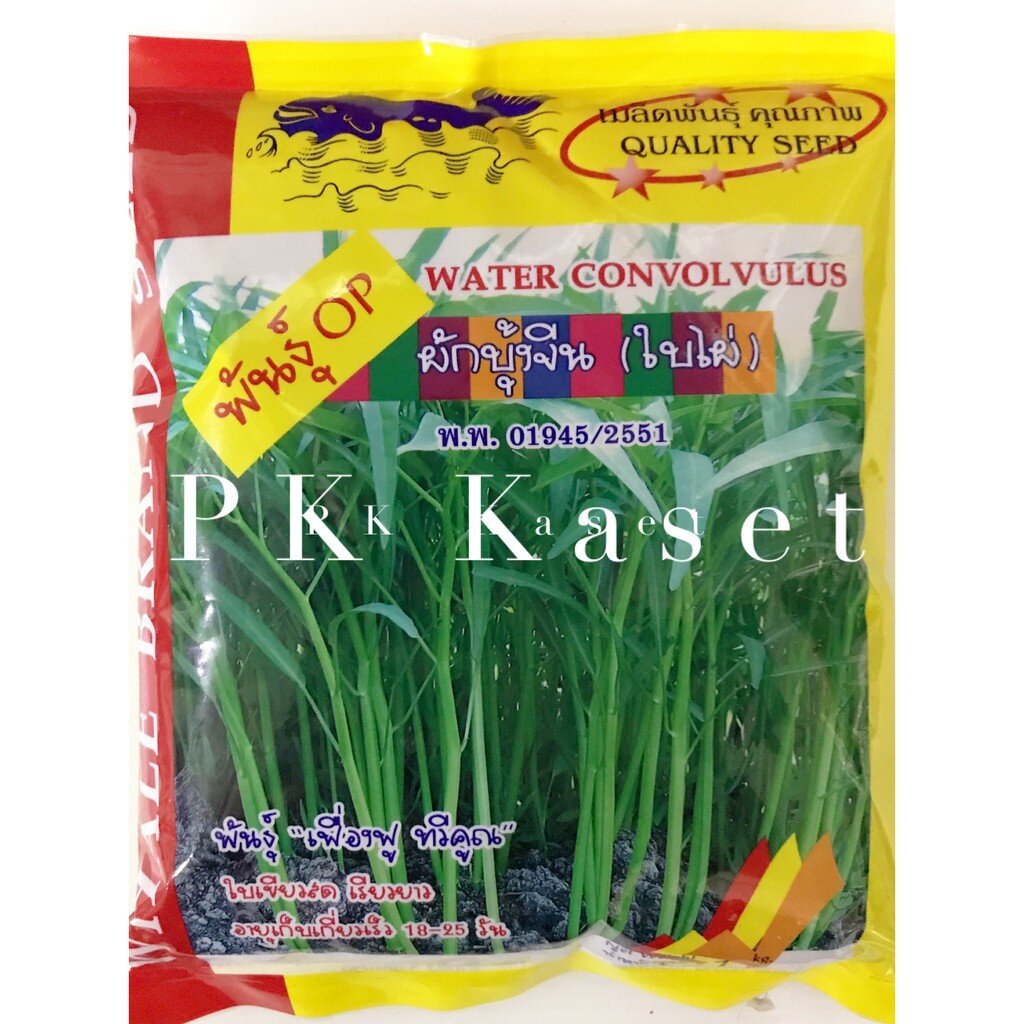 เมล็ดผักบุ้ง เฟื่องฟู ทวีคูณ 1 kg ผักบุ้ง ปลาวาฬ ใบเขียวสด เรียวยาว
