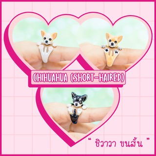 Ring / แหวน : Chihuahua (Short-Haired) / ชิวาวา ขนสั้น