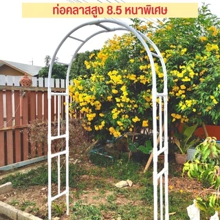 ซุ้มโค้ง ซุ้มไม้เลื้อย ซุ้มประตู ซุ้มกุหลาบเลื้อย ซุ้มงานแต่ง ซุ้มแต่งงาน โครงไม้เลื้อย DIYจากท่อPVC