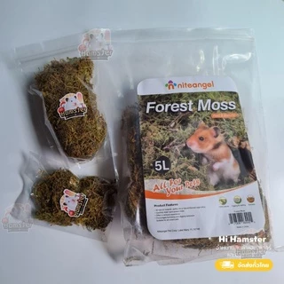 Niteangel หญ้า มอส แห้ง moss ป่ามอสสำหรับหนูแฮมสเตอร์ ทำรัง จัดสวนแนวธรรมชาติ