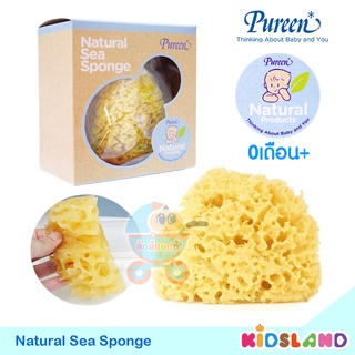 Pureen ฟองน้ำธรรมชาติ จากทะเลเมดิเตอร์เรเนี่ยน Natural Sea Sponge