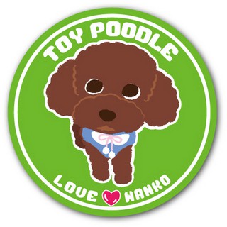 สติกเกอร์ ป้ายติดกระจก สติกเกอร์สัตว์เลี้ยง สติกเกอร์หมา poodle AE27