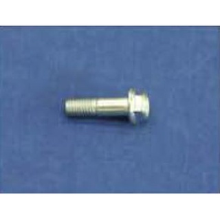 สกรูดีสเบรค DISC BRAKE SCREW ISUZU D-MAX 2002-2007