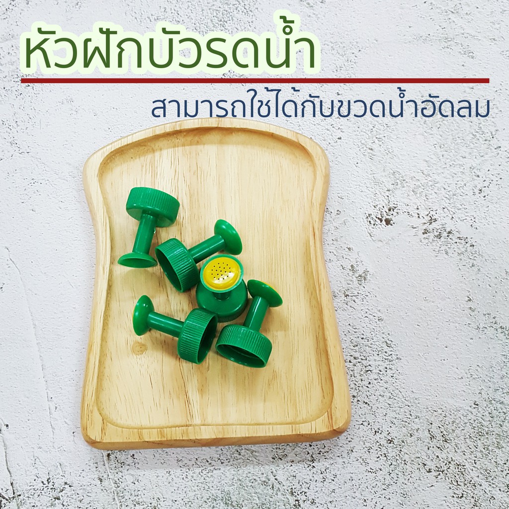 Best saller หัวฝักบัวรดน้ำ ต่อกับขวดน้ำอัดลม เมล็ดฟ้าทะลายโจร เมล็ดแคนตัส เมล็ดผัก เมล็ดพืช กล้วยไม้