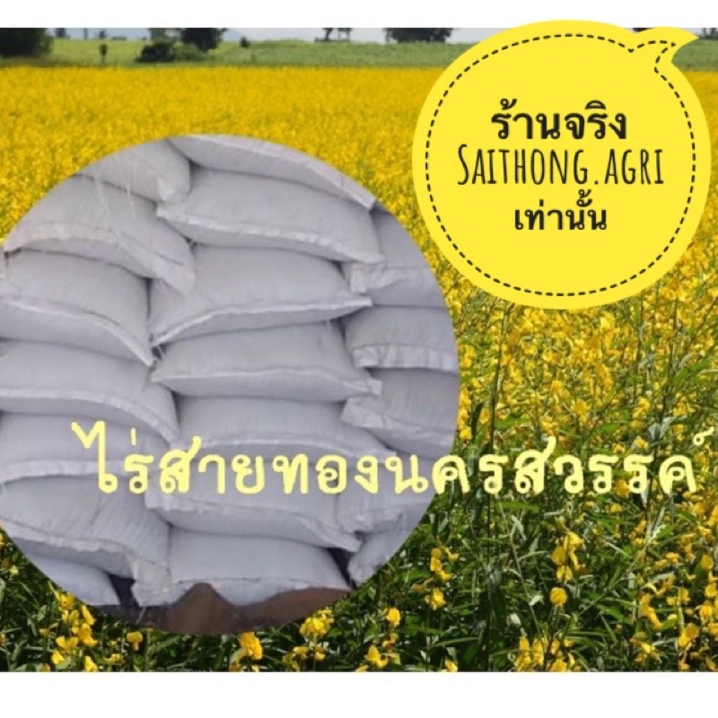 เมล็ดปอเทืองเมล็ดพันธุ์ปุ๋ยพืชสด กระสอบ 20 กก.พร้อมปลูก งอก 98% เมล็ดสะอาด แกร่งสมบูรณ์ *สังเกตุ ร้านจรืงจากนครสวรรค์ *