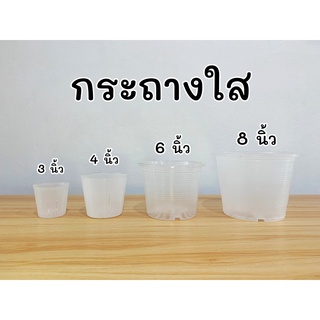 กระถางต้นไม้ กระถางพลาสติก กระถางใส 3 นิ้ว 4 นิ้ว 6 นิ้ว 8 นิ้ว