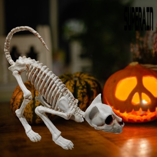 &lt;Halloween Decoration&gt; โครงกระดูกแมวพลาสติก เสมือนจริง สําหรับตกแต่งบ้าน ฮาโลวีน