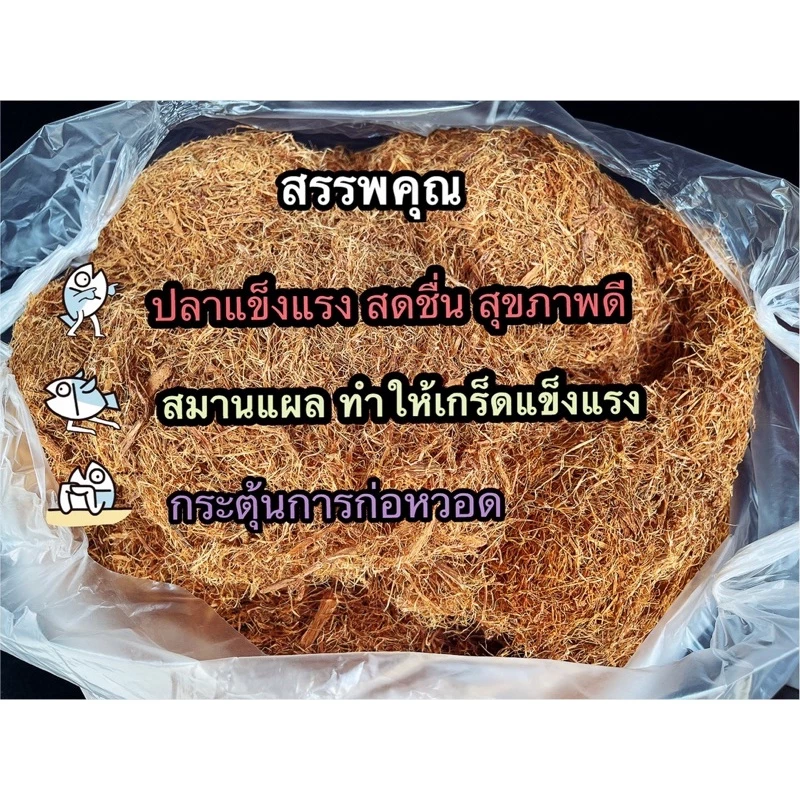 สีเสียดอย่างดี(50 กรัม) หมักปลากัด thumbnail 5
