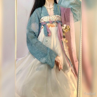 Hanfu สตรี Tang-made กระโปรงยาวหน้าอกพิมพ์