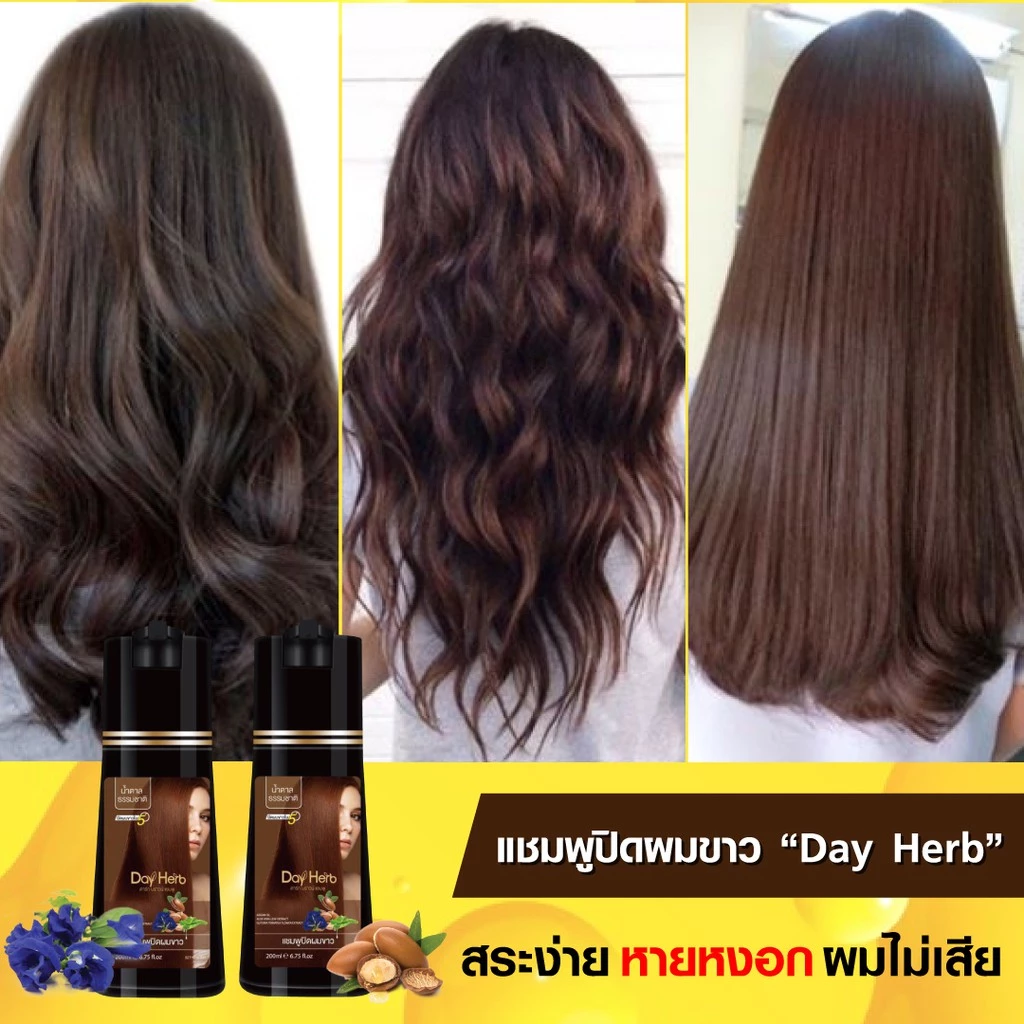 DayHerb  แชมพู ปิดผมขาว สมุนไพร ปิดหงอก ลดหงอก ใน 5 นาที thumbnail 3