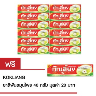 Kokliang ก๊กเลี้ยง ยาสีฟันสมุนไพร 40 กรัมX12หลอด แถมฟรี ก๊กเลี้ยง ยาสีฟันสมุนไพร 40 กรัม