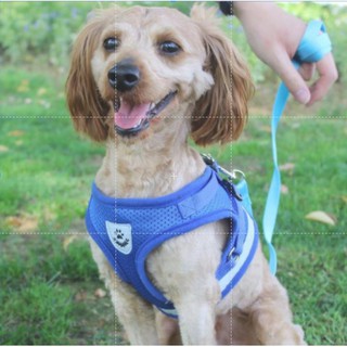 #P049 สายจูงสุนัข เรืองแสง Pet Reflective Harness สายจูงสัตว์เลี้ยง สายจูงหมา สายรัดอกสุนัข