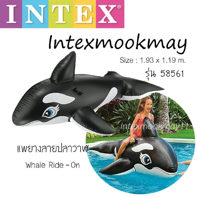 Intex 58561 แพยางปลาโลมาสีดำ **ของใหม่**ของแท้ **จัดส่งไว