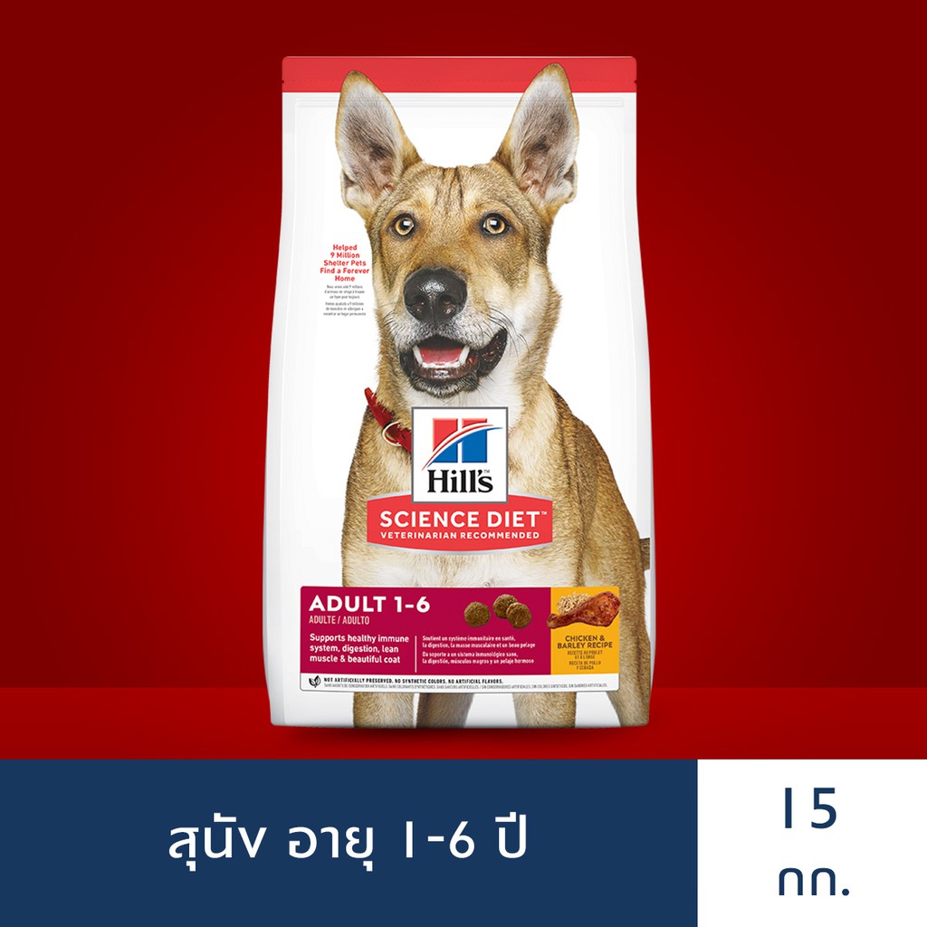 Hill's Science Diet อาหารแมว อายุ 16 ปี สูตรแมวเลี้ยงในบ้าน ขนาด 1.58