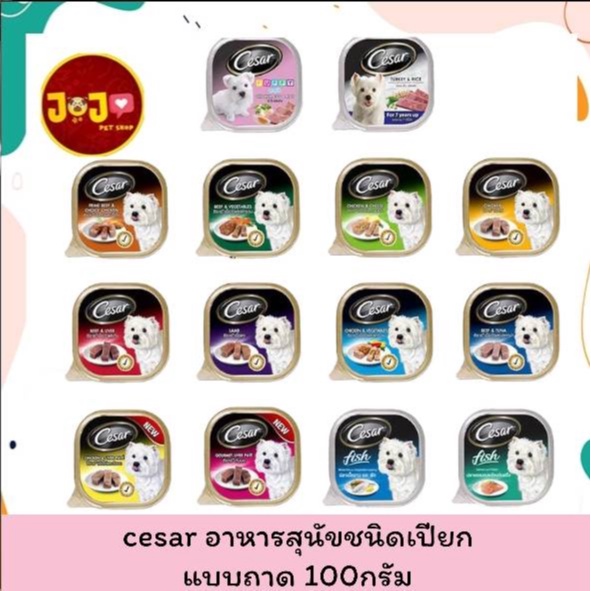 Cesar Tray Dog Food ซีซ่าร์ อาหารสุนัข อาหารเปียกสุนัข แบบถาด ขนาด 100 กรัม