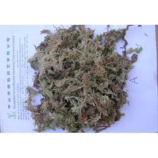 sphagnum moss สแฟกนั่มมอส เกรด A  หนัก 300กรัม