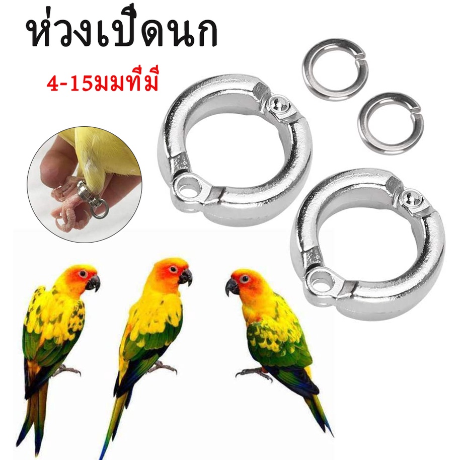 ห่วงเปิดขานก ห่วงขานกฟอพัส นกแก้ว ห่วงขานก นกแก้ว 2 ชิ้น