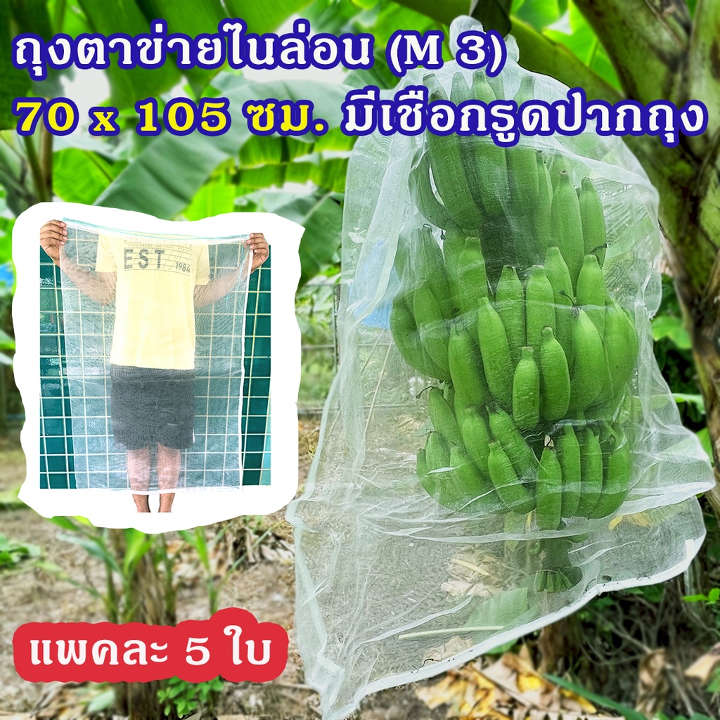 แพคละ 5 ใบ ถุงตาข่ายไนล่อน ขนาด 70x105 ซม.(M 3)  ถุงห่อขนุน  ห่ออินทผลัม ห่อผลไม้ ราคา 225 บาท