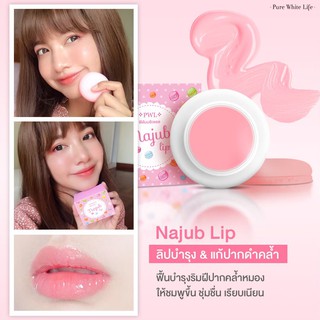 [ลด 50% ใส่โค้ด INCSM99] Purewhitelife Najub Lip Balm ลิปมันบำรุงริมฝีปาก แก้ปัญหาปากดำคล้ำ ริมฝีปากแห้ง 10g