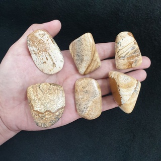 หินก้อนพิคเจอร์แจสเปอร์ หินพิคเจอร์ แจสเปอร์(Picture Jasper)ก้อนละ250