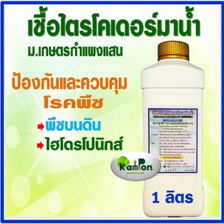 ไตรโคเดอร์มาชนิดน้ำ ม.เกษตรกำแพงแสน (ขนาด 1ลิตร)ผสมสารจับใบแล้ว ป้องกัน-ควบคุมโรคพืชที่เกิดจากเชื้อราอย่างได้ผล ปลอดภัย