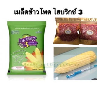 เมล็ดพันธุ์ ข้าวโพดหวานไฮบริกซ์ 50 ,100, 200 กรัม แบ่งขาย