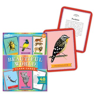 eeBoo Beautiful World Flash Cards - บัตรคำศัพท์สัตว์โลก