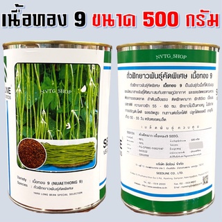 ถั่วฝักยาว เนื้อทอง 9 (500 กรัม) เมล็ดพันธุ์ ถั่วฝักยาวพันธุ์เนื้อ เนื้อทอง9 เมล็ดพันธุ์ถั่วฝักยาวเนื้อทองเก้า