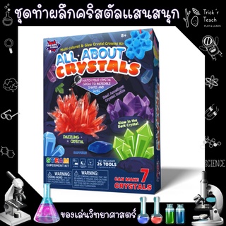 ของเล่นวิทยาศาสตร์ All About Crystal / ของเล่นเสริมพัฒนาการ [พร้อมส่ง]