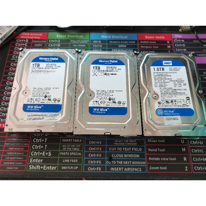 มือสอง 1TB HDD WD BLUE