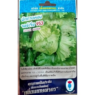 เมล็ดพันธุ์ สลัดแก้ว🍀หมดอายุ 12/2566🍀ผักกาดหอม จอร์เจีย953 📌บรรจุประมาณ 900 เมล็ด สลัดห่อ ผักสลัด คล้ายกะหล่ำ