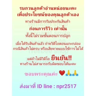 ซ่อนกลิ่น ดอกหอมมาก ติดดอกทั้งปี(หัวสดเเละเเห้ง)