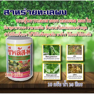 สาหร่ายทะเลผง (ขนาด500กรัม)ไซโตไคนิน #ซีพลัสพี #ซัน-ซีแพค ช่วยการแบ่งเซลล์พืชและขยายเซลล์พืช แตกตาใบเปิดตาดอก