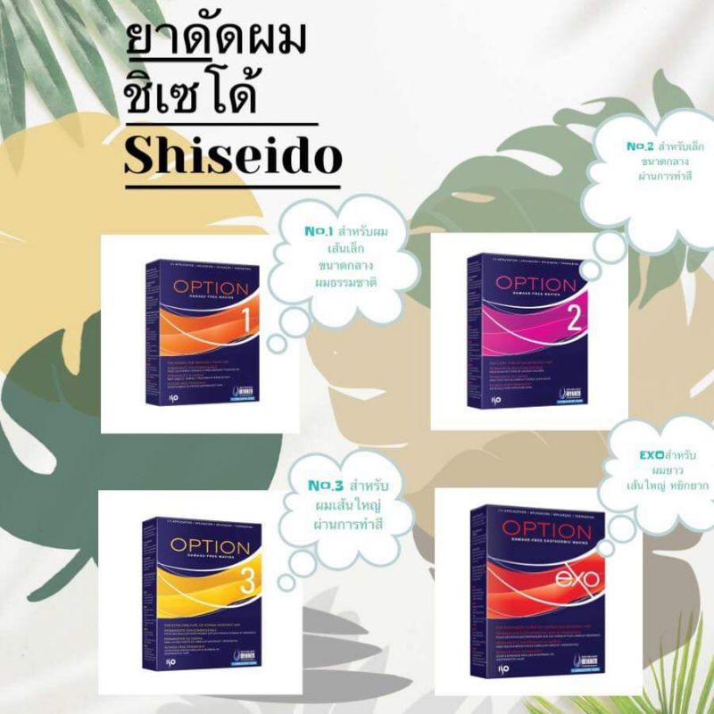 น้ำยาดัดผม ชิเซโด้ ไอโซ่ ออพชั่น Shiseido ISO Option 4 สูตรให้เลือก