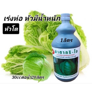 กะหล่ำห่อ ห่อหัวโต ห่อแน่น ห่อกะหล่ำ เพิ่มน้ำหนัก ฮอร์โมนเร่…