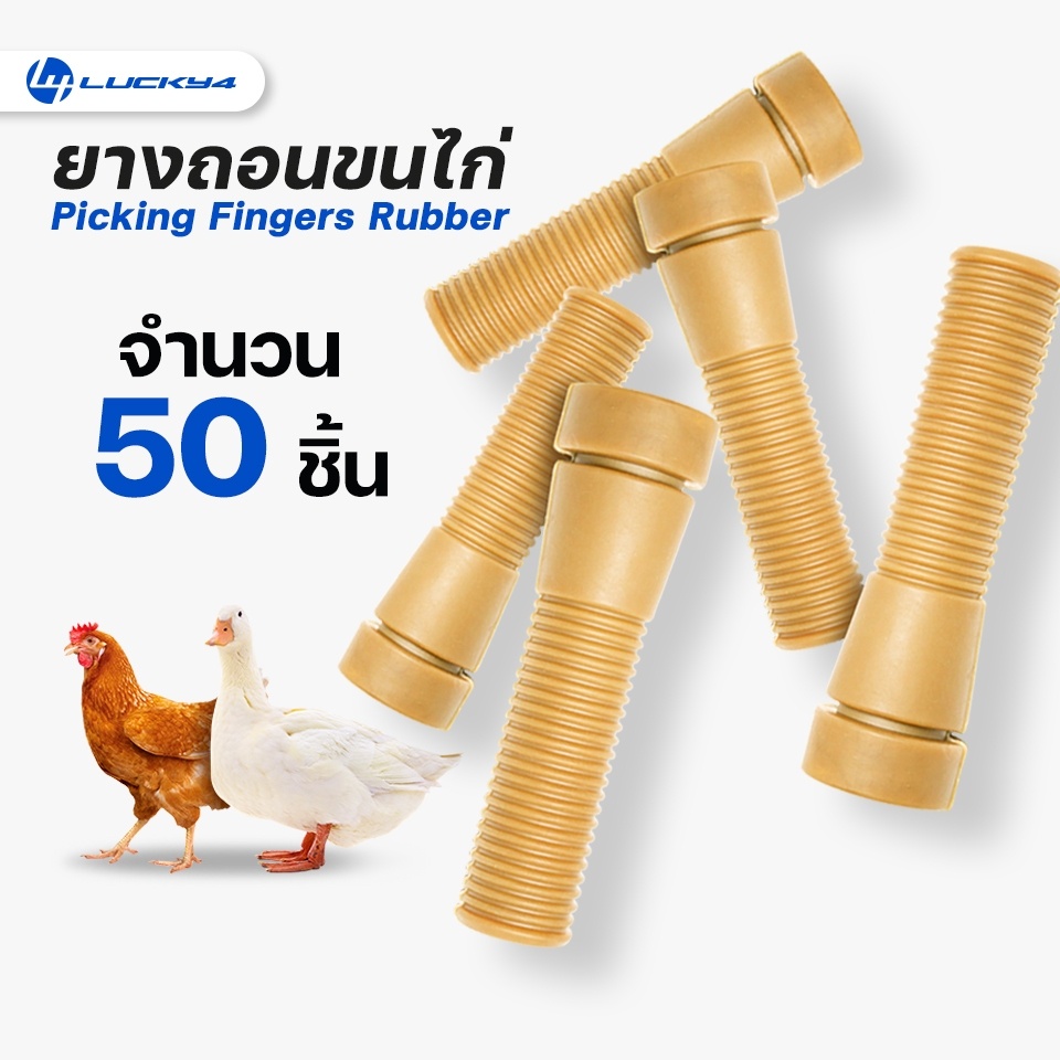 ยางถอนขนไก่ // จำนวน 50 ชิ้น // เกรดเอ ทนทาน ใช้งานได้นาน สีน้ำตาล // ขนาด 1.1 นิ้ว x 3.7 นิ้ว