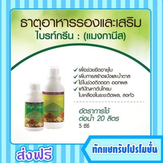 กิฟฟารีน ปุ๋ย ไบร์ทกรีน แมงกานีส Giffarine Bright Green สวน ดิน ยืดอายุใบ เพิ่ม สร้างใบ แก้ปัญหาต้นโทรม ลงหัว