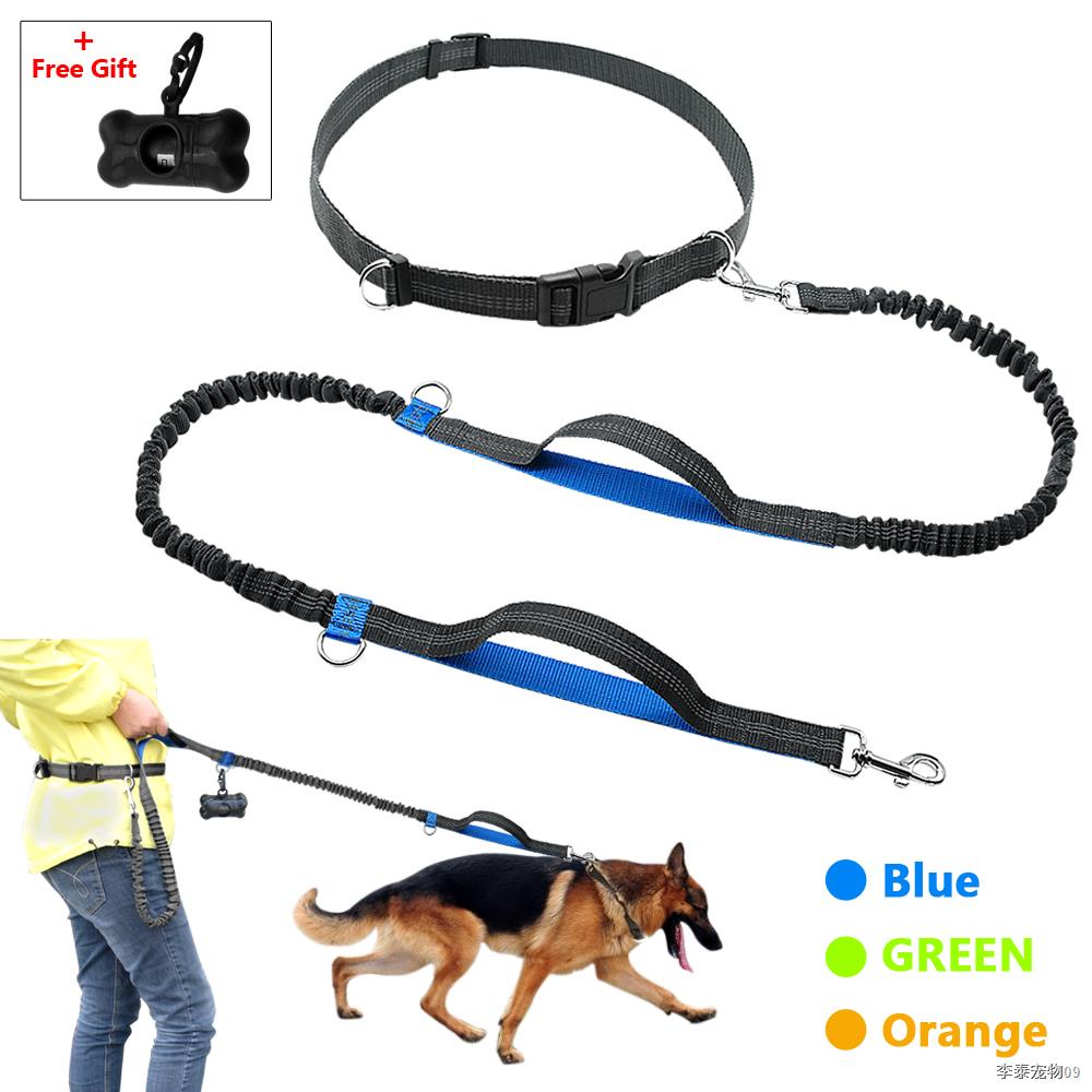 In stockLarge Dog Leash Retractable Dog Leash Extra Long 26 ft Big