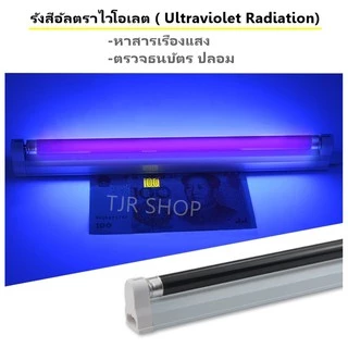 ชุด รางพร้อมหลอด Black Light T5 4W/6W/8W หลอดล่อแมลง ดักแมลง ดิสโก้เทค การแพทย์ ส่อง