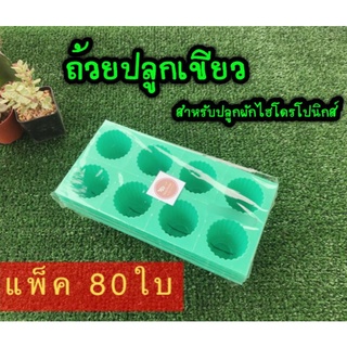 ถ้วยปลูกเขียวแพ็ค 80 ใบ สำหรับปลูกผักไฮโดรโปนิกส์