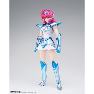 Saint Cloth Myth Ekureus Shoko [ Saint Seiya ] 4573102553904